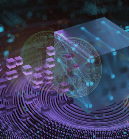 Blockchain Education Program